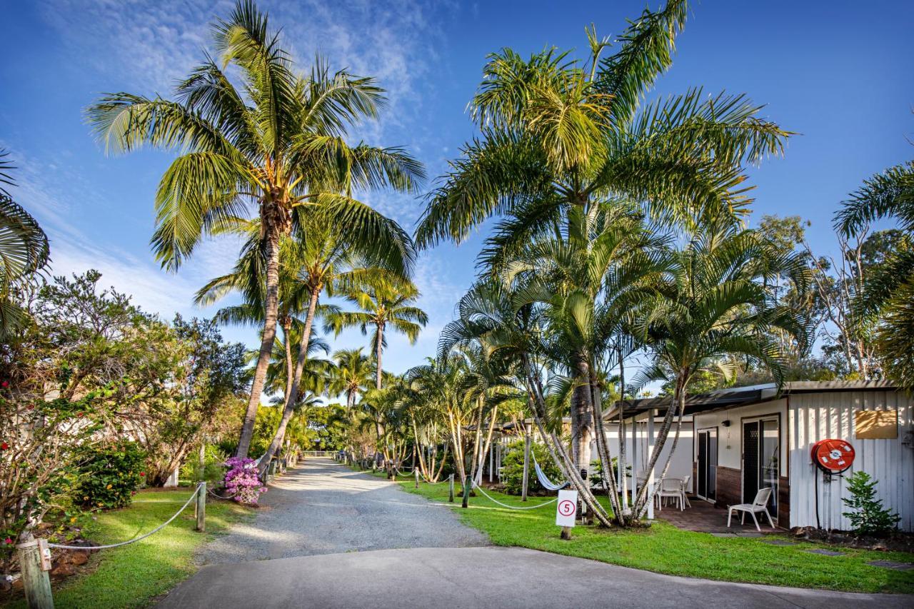 Bush Village Holiday Cabins Airlie Beach Eksteriør bilde