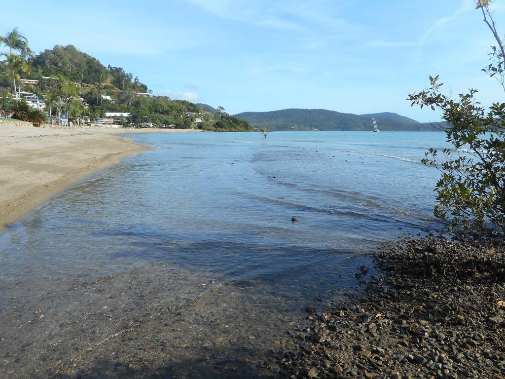 Bush Village Holiday Cabins Airlie Beach Eksteriør bilde