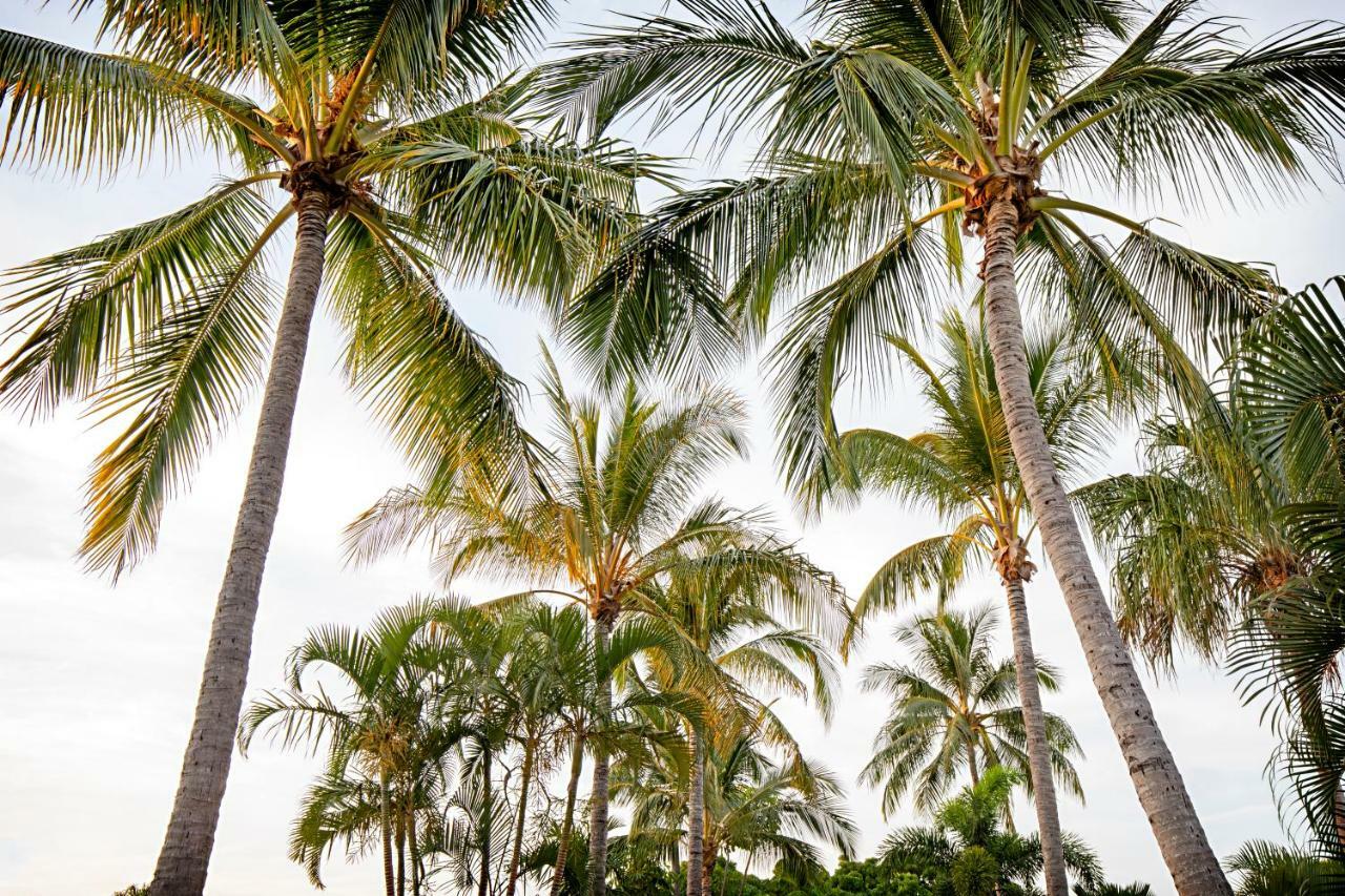 Bush Village Holiday Cabins Airlie Beach Eksteriør bilde